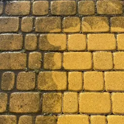 Żółta kostka brukowa, część wyczyszczona, część brudna, z widocznymi śladami wody i niewielkimi źdźbłami trawy w spoinach.