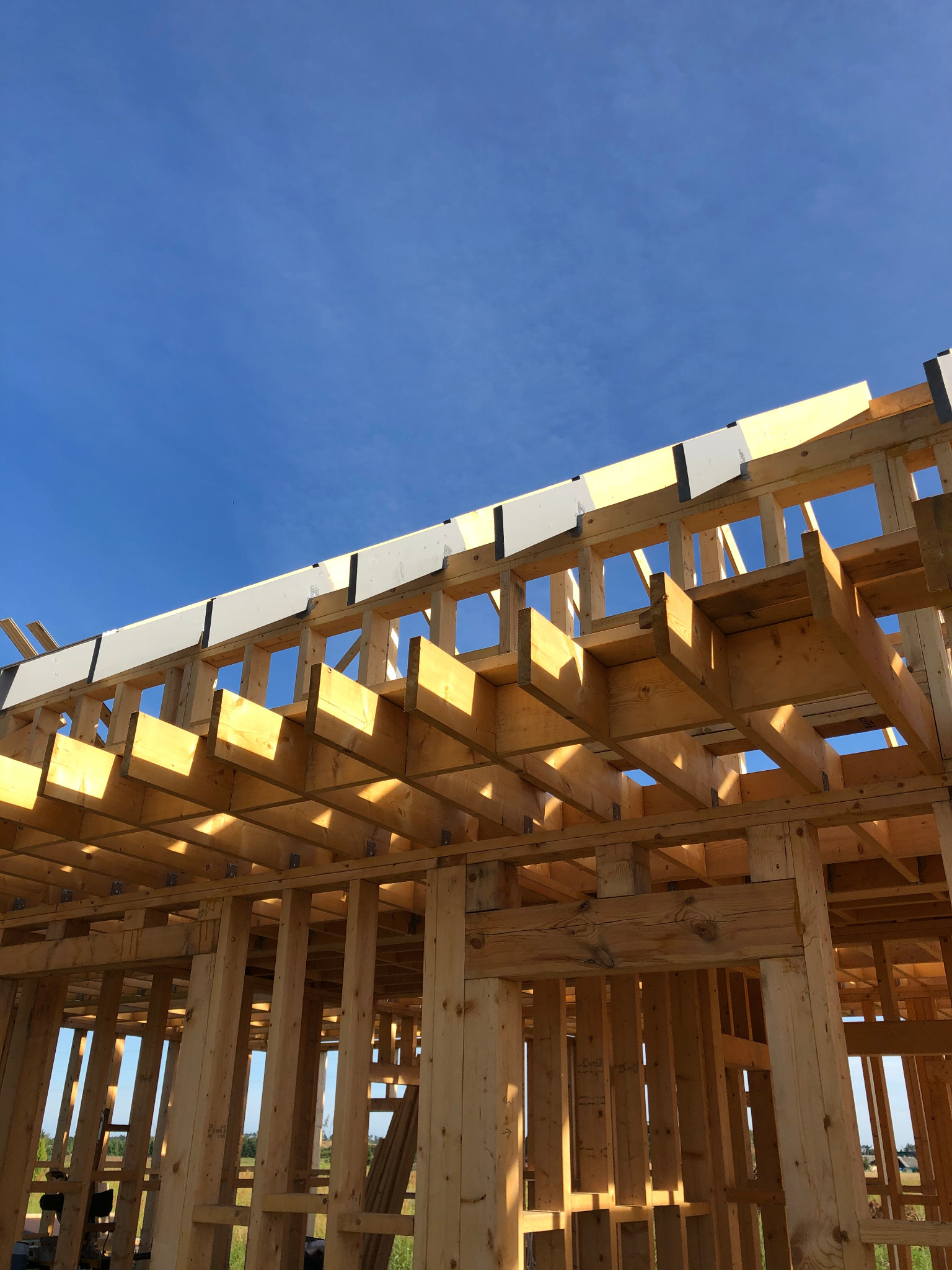 Surowa drewniana konstrukcja budynku w trakcie budowy, widok z dołu na jasne drewno i błękitne niebo, z elementami izolacji przy górnej krawędzi.
