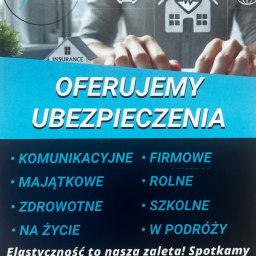 Pełna księgowość Dachowa 1