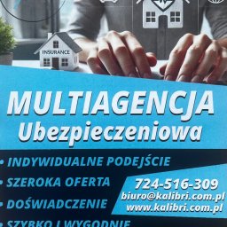 Pełna księgowość Dachowa 2