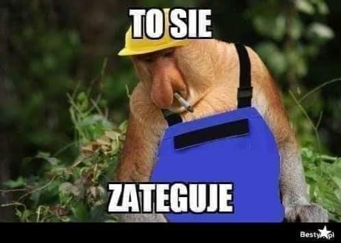 Humorystyczne ujęcie: małpa w kasku i kombinezonie, z papierosem w pysku, na tle zieleni. Dodatkowo nałożony tekst w języku polskim.