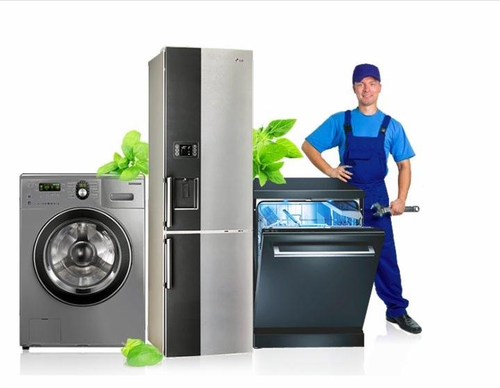 Serwisant AGD z kluczem obok pralki, lodówki i zmywarki. Świeże, zielone akcenty roślinne dodają naturalności. Uśmiechnięty fachowiec w uniformie.