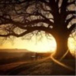 daniel wrobel - Ocieplanie Domu Styropianem Wrocław