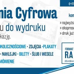 Projektowanie logo Chojna 3