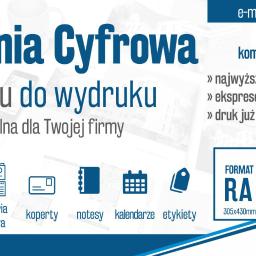 Projektowanie logo Chojna 4