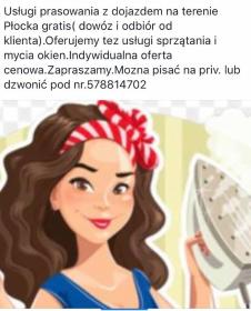 Serwis domowy - Sprzątanie Płock