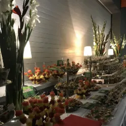 Stół cateringowy z przekąskami, owocowymi szaszłykami i kwiatami w wazonach, oświetlony lampkami, z widocznym logo firmy cateringowej na małych tabliczkach.