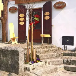 Wejście do galerii z drewnianymi drzwiami, schodami z kamienia i małym drzewkiem zabezpieczonym drewnianymi listwami, z kwiatami u podstawy.