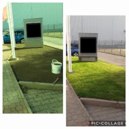 Porównanie stanu trawnika przed i po zabiegach pielęgnacyjnych: po lewej przygotowana gleba pod trawnik, po prawej świeżo założony trawnik z rolki, widoczny fragment parkingu i budynek w tle.