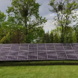 Rząd paneli słonecznych na metalowych nogach, umieszczony na trawniku przed zielonymi drzewami i żółtym krzewem.