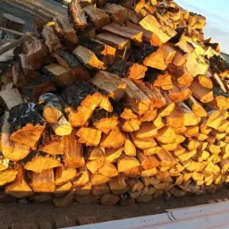 Stos drewna kominkowego oświetlonego popołudniowym słońcem, widoczne kora i słoje, ułożone nieregularnie na białej powierzchni.