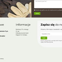 Tworzenie stron internetowych Łódź 2