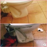 Porównanie stanu toalety przed i po czyszczeniu; widoczne różnice w czystości muszli i otoczenia, z rolką papieru toaletowego w tle.