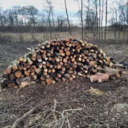 Stos pociętych klocków drewna ułożony na ziemi, w tle nagie drzewa i krzewy wczesną wiosną.