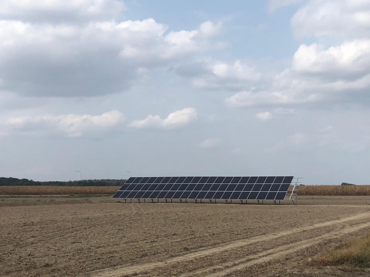 Rząd paneli słonecznych na polu, z widocznymi w oddali turbinami wiatrowymi i pożółkłym polem kukurydzy.
