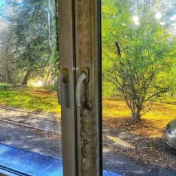 Sprzątanie mieszkań Katowice 3