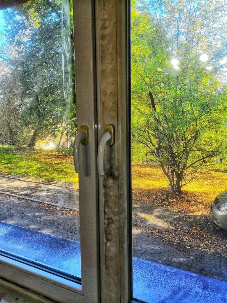 Okna w Katowicach: Połowa szyby umyta, druga brudna, widoczne zacieki i zabrudzenia na ramie okiennej, za oknem jesienny park.