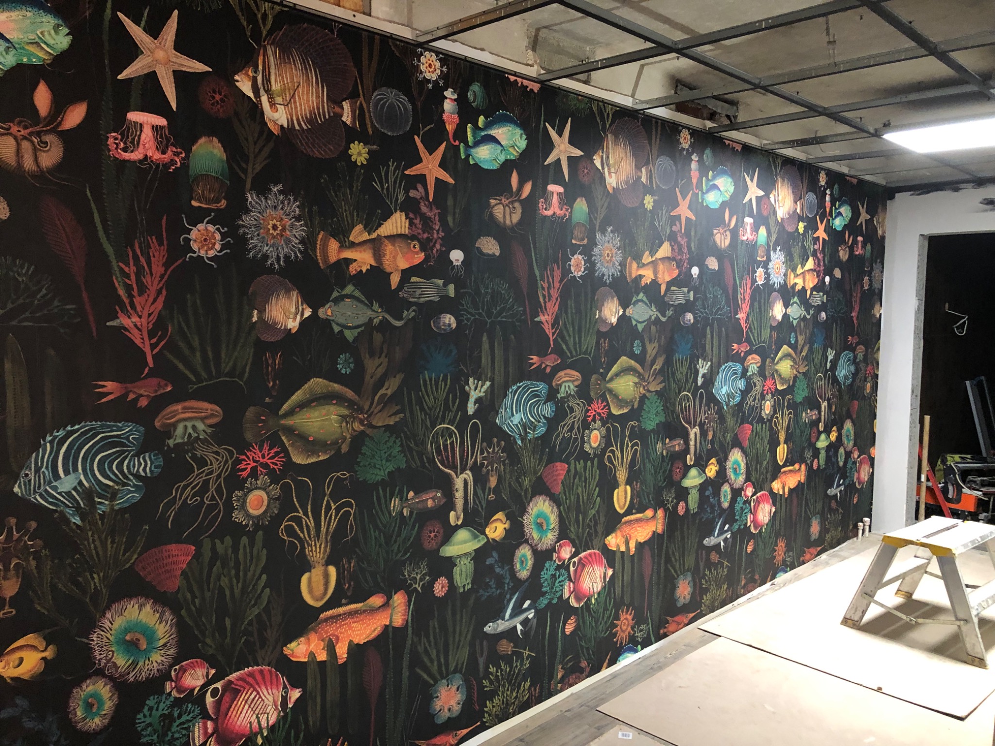 Ściana pokryta czarną tapetą z motywem morskiego życia: ryby, rozgwiazdy, meduzy i rośliny, widoczne także fragmenty sufitu i drabina malarska.