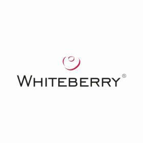 Whiteberry - Wideofilmowanie Bydgoszcz