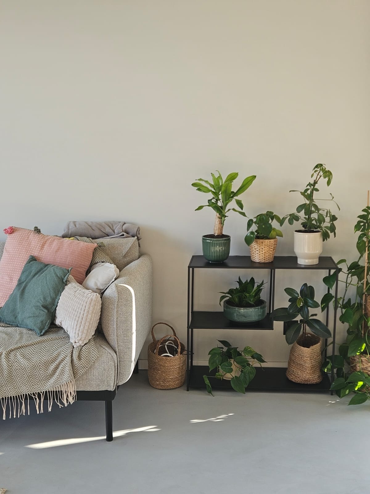 Jasna sofa z poduszkami w odcieniach różu i zieleni, obok czarny regał z roślinami doniczkowymi w ozdobnych osłonkach i koszach, minimalistyczny salon w neutralnej kolorystyce.