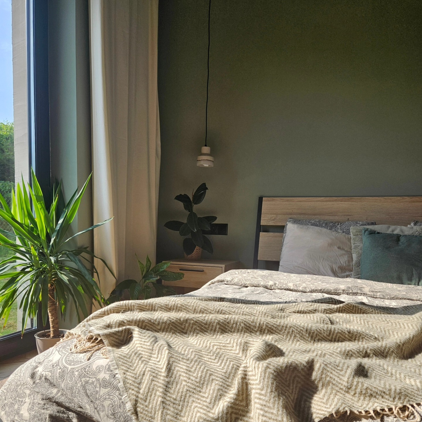 Sypialnia z drewnianym wezgłowiem łóżka, zieloną ścianą i dużą rośliną doniczkową przy oknie, oświetlona popołudniowym słońcem.