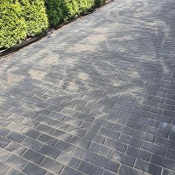 FUGA Brukarstwo Krzysztof Wiśniewski - Ułożona, szara kostka brukowa z piaskiem w szczelinach, obok rzędu zielonych tuj i czarnego obrzeża.