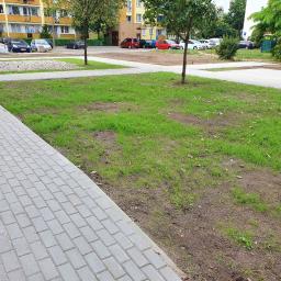 FUGA Brukarstwo Krzysztof Wiśniewski - Obszar z nowo ułożoną szarą kostką brukową obrzeżającą trawnik z młodą trawą, otoczony blokami mieszkalnymi i zaparkowanymi samochodami.