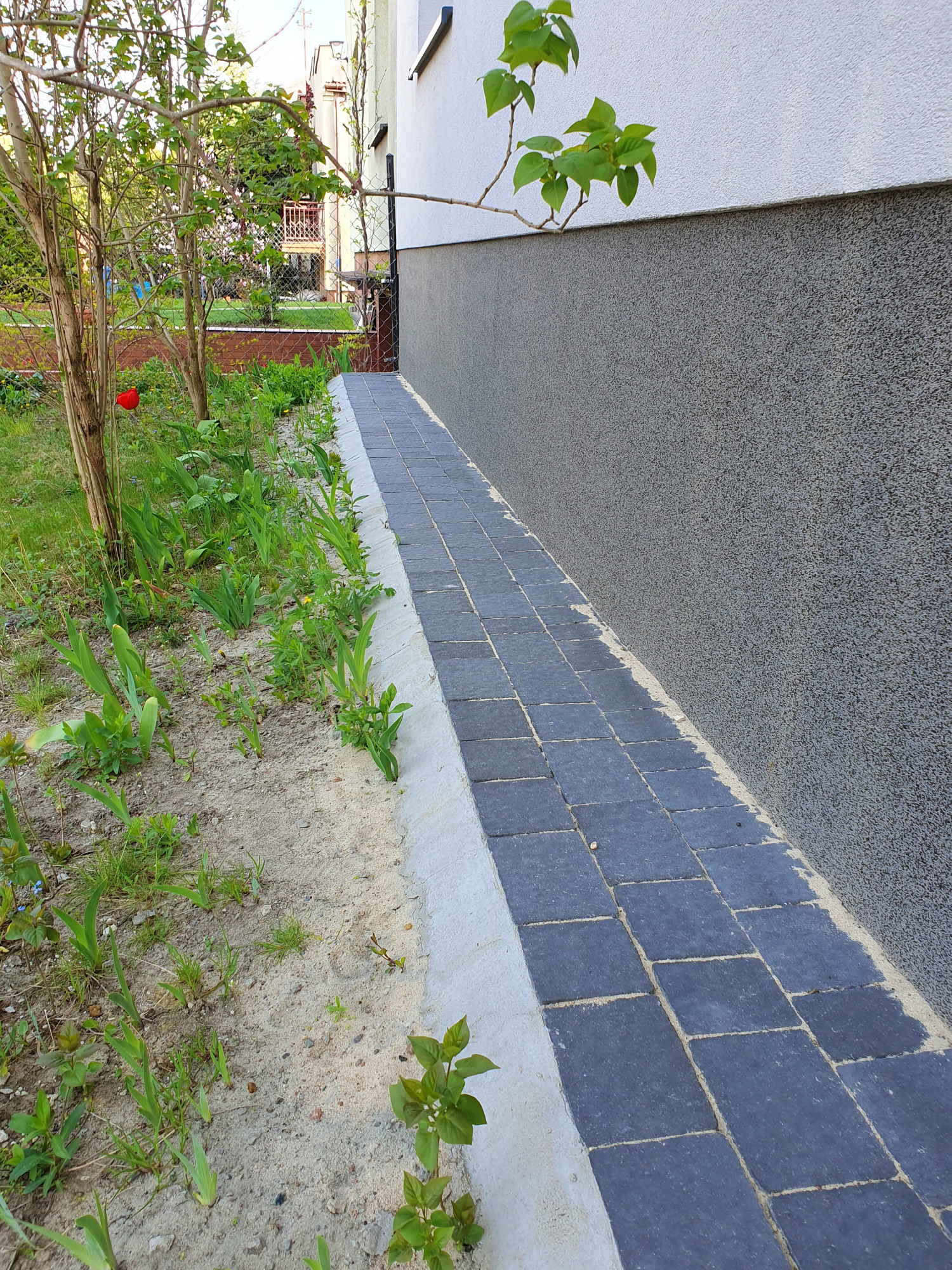 Ścieżka z ciemnej kostki prowadząca wzdłuż ściany budynku, obok rabaty z młodymi roślinami.