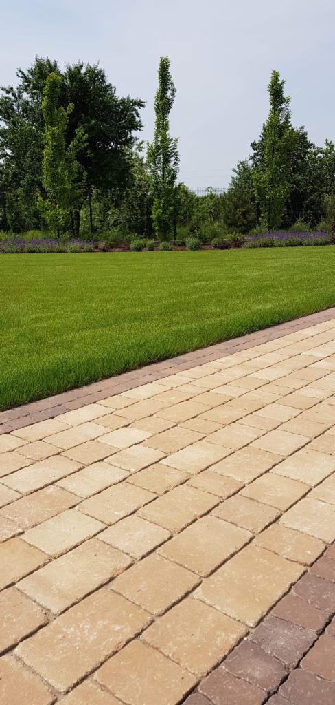 Ułożona z beżowej kostki brukowej ścieżka w ogrodzie, przylegająca do idealnie przystrzyżonego trawnika z rabatą lawendy w tle.