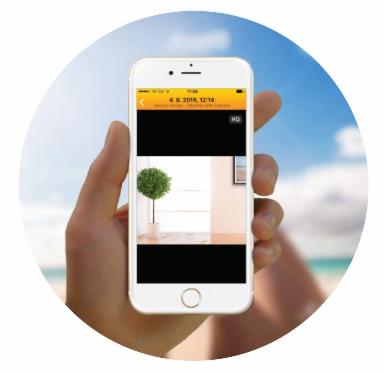 Widok z kamery monitoringu na smartfonie, prezentujący wnętrze z rośliną w doniczce, na tle rozświetlonego słońcem nieba i plaży.