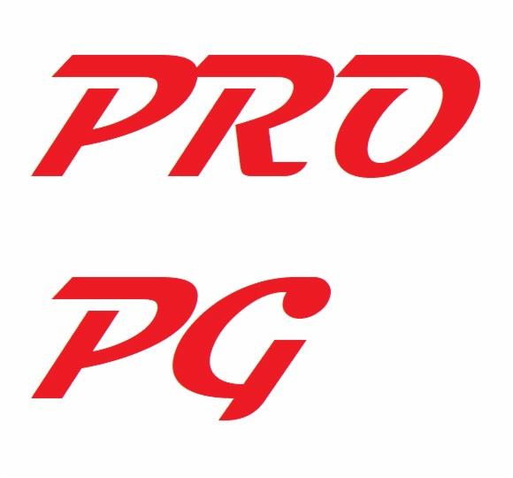 Czerwone logo 'PRO PG' na białym tle, napisane pochyloną czcionką.