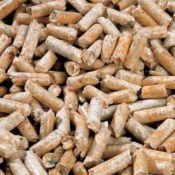 Jasne, drewniane granulki, prawdopodobnie do ogrzewania, ułożone w stos w Żywcu. Widoczne drobne fragmenty kory i niedoskonałości w strukturze.