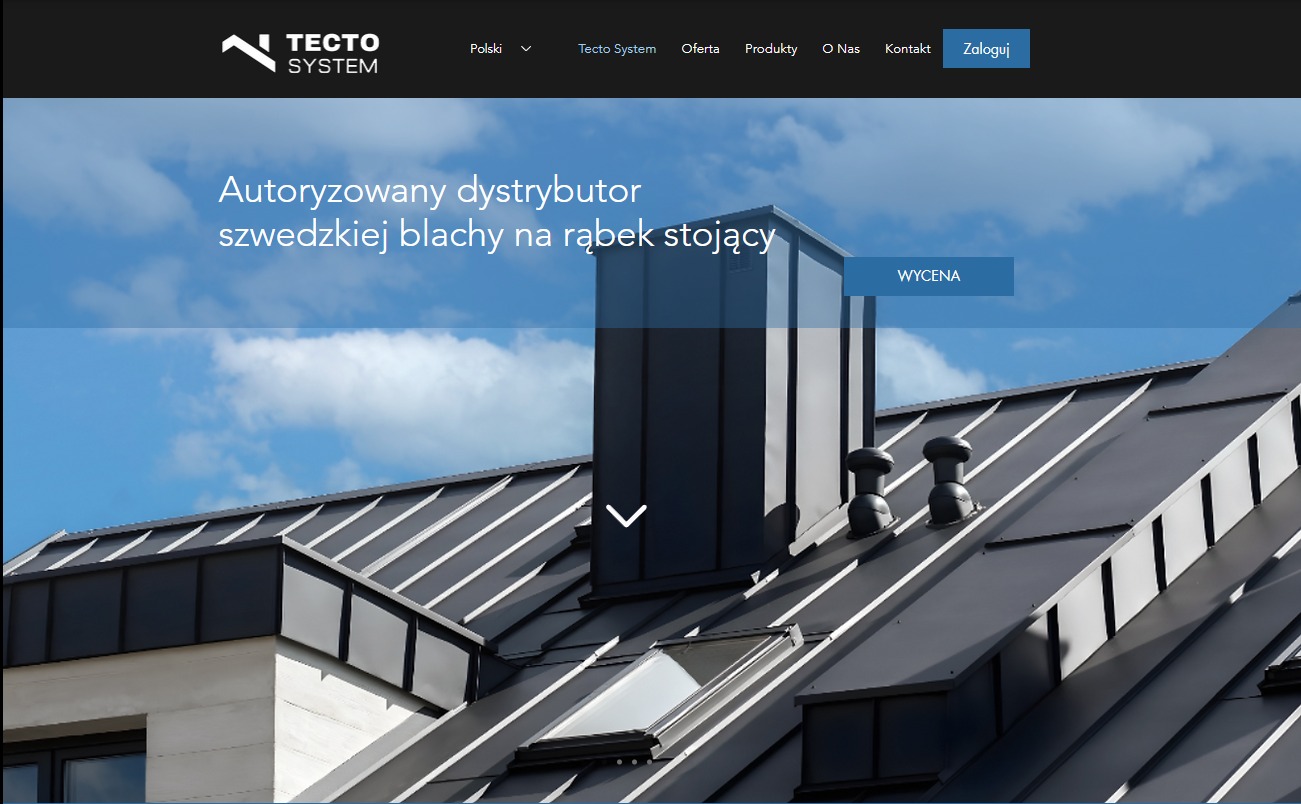 Strona Internetowa Tecto System