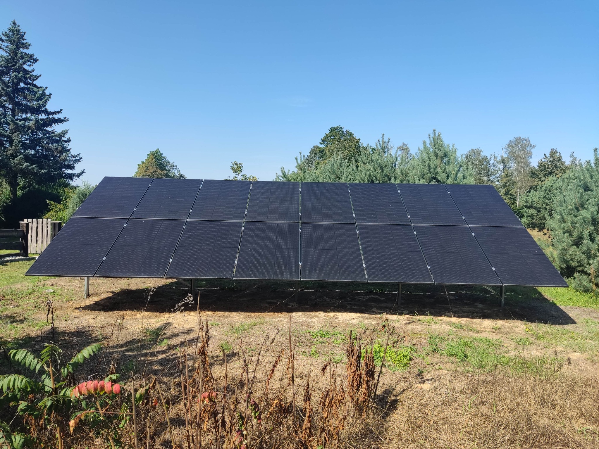 Panel fotowoltaiczny na metalowej konstrukcji, zainstalowany na trawiastym terenie z widocznymi drzewami w tle pod błękitnym niebem.