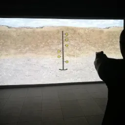 Strzelanie z pistoletu do tarczy z żółtymi okręgami na tle wyświetlanego krajobrazu polnego, w pomieszczeniu ze szarą podłogą.