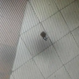 Niedokładne ujęcie fragmentu pomalowanej ściany wewnętrznej z widocznym pędzlem w rogu, sugerujące niedbałe wykończenie.