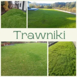 Kompozycja zdjęć przedstawiająca świeżo założone trawniki w różnych ujęciach, ukazujących gęstą, zieloną trawę przy domach i ogrodzeniach.