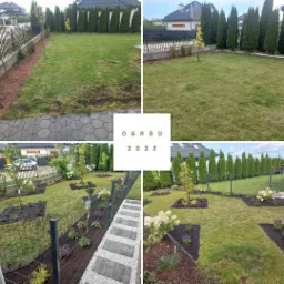 Fotografia kolażowa przedstawiająca transformację trawnika: od zaniedbanego z rzadką trawą do zadbanego ogrodu z nowymi nasadzeniami, obrzeżami z kory, ścieżką z płyt i tujami w tle.