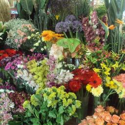 art dekor florystyka wyślij kwiaty tarnów polska świat 