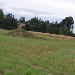 Nierówny, rozległy trawnik przed domem z widoczną stertą ziemi, zaroślami i fragmentem pola w tle.