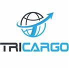 Logo firmy Tricargo z globusem i strzałką w kolorze błękitnym, stylizowane na literę T, nazwa firmy w kolorze czarnym.