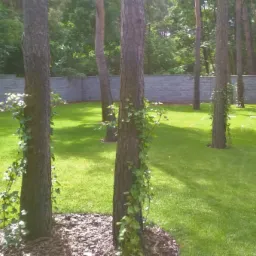 zabiegi pielęgnacyjne na trawnik