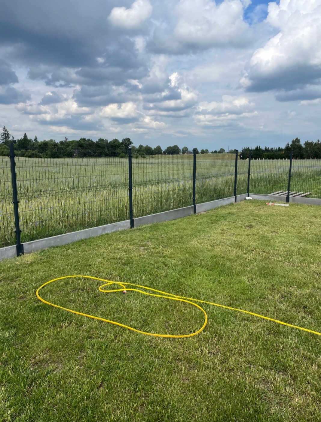 Metalowe ogrodzenie panelowe z podmurówką betonową, widok z trawnika, na którym leży zwinięty żółty wąż ogrodowy, w tle pole i pochmurne niebo.