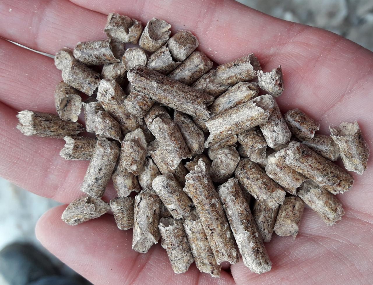 Garść jasnobrązowego pelletu drzewnego o nieregularnych kształtach i widocznej strukturze włókien drzewnych, trzymana w dłoni. Widoczne linie papilarne na skórze.