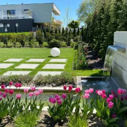 Nowoczesny ogród z trawnikiem, ścieżką z płyt betonowych, kulistą lampą, kaskadowym wodospadem i rabatą tulipanów w odcieniach różu i fioletu na tle minimalistycznego domu.