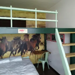 Pokój z łóżkiem na antresoli, pomalowanym na zielono, z drewnianymi schodami i biurkiem pod spodem, tapeta z motywem biegnących koni na ścianie za łóżkiem.