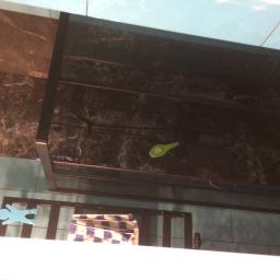 AdiDeccor - Szklana kabina prysznicowa z czarnymi profilami, zamontowana na ścianie wyłożonej błękitnymi płytkami, z widocznymi akcesoriami łazienkowymi i ręcznikiem w kratę.