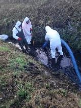 Trzech pracowników w białych kombinezonach ochronnych, stojących w błotnistym rowie, z niebieskim wężem zasysającym ciecz, prawdopodobnie podczas prac porządkowych.
