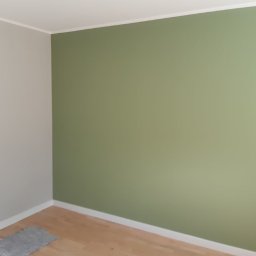 Refresh - Pomieszczenie po malowaniu ścian na kolor oliwkowy i szary, widoczna podłoga z jasnego drewna i szary dywanik.