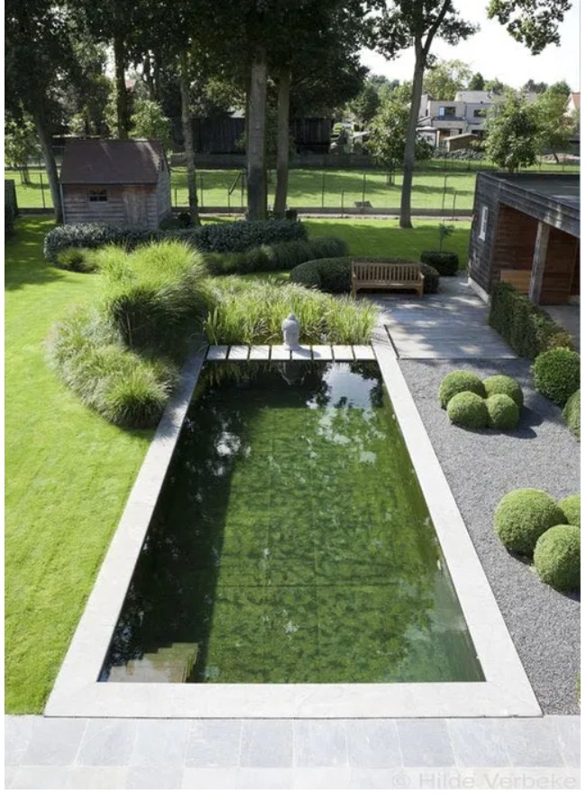 Naturalny basen w ogrodzie z kamienną obudową, otoczony ozdobnymi trawami, krzewami i drzewami, z drewnianą ławeczką w tle.